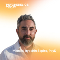 PT 642 - Michael Sapiro PhD - Truth Medicine, Psychedelics, and Living Your Truth