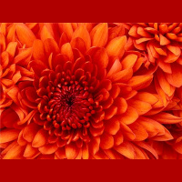 Breathe your way to peace and freedom with Kathleen Booker