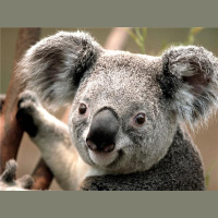 Connected to Spirit - a Life of Love