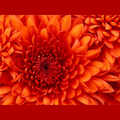 SHINE ON - THE HEALTH AND HAPPINESS SHOW