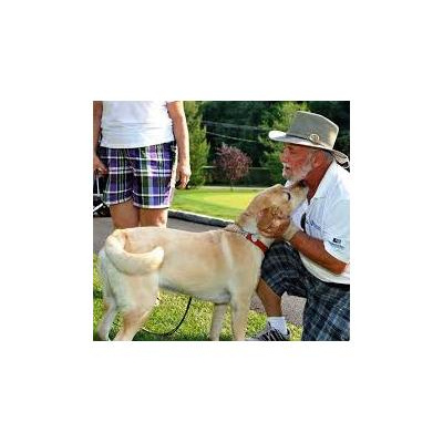 SHINE ON - THE HEALTH AND HAPPINESS SHOW