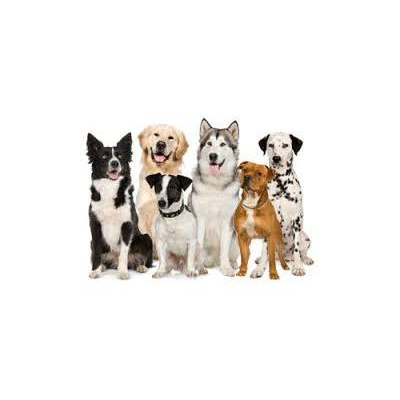 SHINE ON - THE HEALTH AND HAPPINESS SHOW