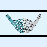 292. Acute Limb Ischemia