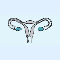 183. Gynecological history