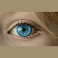 316. Retinal Detachment 