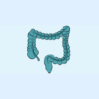 38. Rectal Cancer Basics