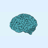 107. Neurosurgery: Hydrocephalus