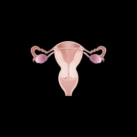 263. Endometrial Cancer Follow up