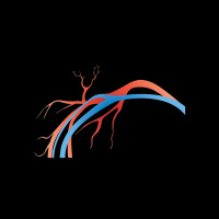 277. Portal Hypertension - Presentation and Management