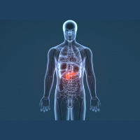 429. The Whipple Procedure