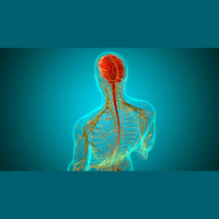 392. Common Neurosurgical Infections