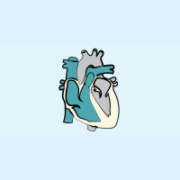 231. Coronary Artery Bypass Grafting