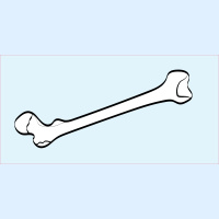 213. Assessing the Painful Joint