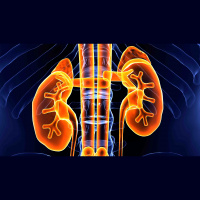 386. Benign Renal Masses