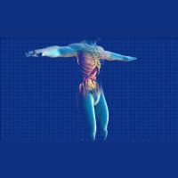 313. Chronic Pancreatitis