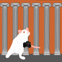 Cortical Columns with Dr. David Fitzpatrick