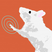 Memory, the Cerebellum, and Axons with Dr. David Linden