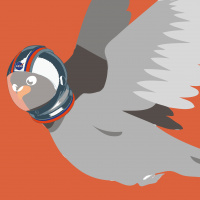 Navigation and Orientation with Dr. David Dickman