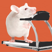 Making the Most of Memory with Dr. Wendy Suzuki