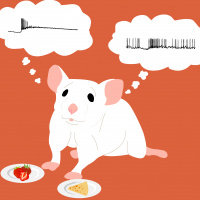 Decisions in the Brain with Dr. Nao Uchida