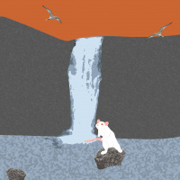 Encoding the Auditory Environment with Dr. Maria Geffen