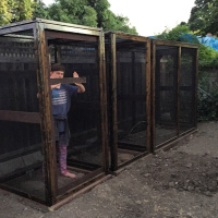 117 Building Your Own Chameleon Cage