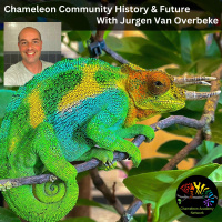 Chameleon Community History  Future with Jurgen Van Overbeke