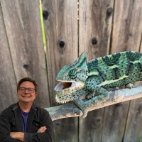 Female Veiled Chameleon Feeding