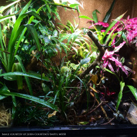 Ep 72: Bio-Active Environments, Pt 1 with John Courteney-Smith, MRSB