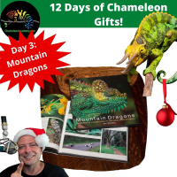Chameleon Gift Giving: Day 3 - Mountain Dragons