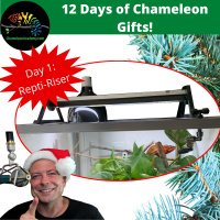 Chameleon Gift Giving, Day 1: Repti-Risers