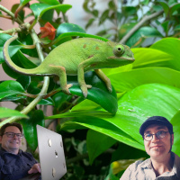 Productivity when home with Luis Wiedemann