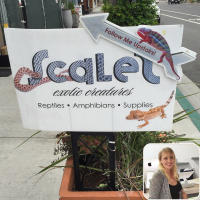 Ep 29: Owning a Reptile Store with Beth Greathouse