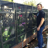 Ep 16: Outdoor Chameleon Keeping