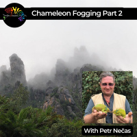 Fogging Chameleons with Petr Necas Part 2