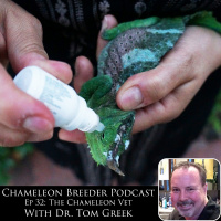 Ep 32: The Chameleon Vet with Dr. Tom Greek
