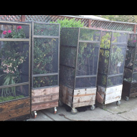 Transporting Chameleons