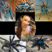 Ep 61: Arboreal Tarantulas with Marita De La Pena