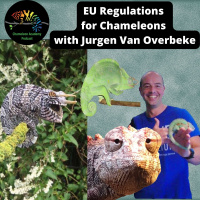 Keeping Chameleons in the European Union with Jurgen Van Overbeke