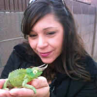 Ep 30: Introduction to Chameleons