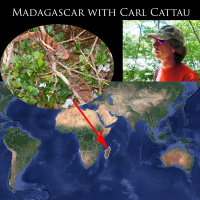 Ep 44: Madagascar with Carl Cattau
