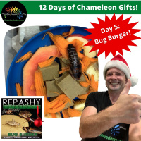 Chameleon Gift Giving Day 5 - Repashy Bug Burger