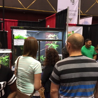 120: Shopping With A Conscience in the Reptile Community