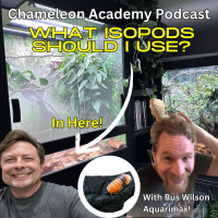 Isopods! with Rus Wilson