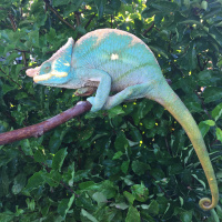 Season 3 Introduction