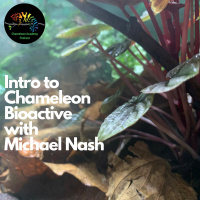 Intro to Chameleon Bio-active with Michael Nash