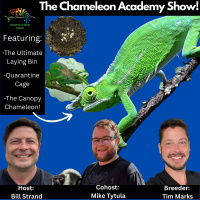The Chameleon Academy Show! Sept 30, 2022