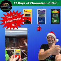 Chameleon Gift Giving - Day 10 Solarmeter 6.5