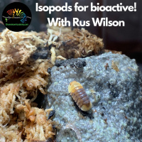 Isopods for Bioactive Environments