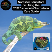 Using the 2022 Jacksons Chameleon Care Guide